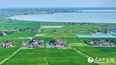 安徽向前丨六安霍邱：智创合做 集群进沪